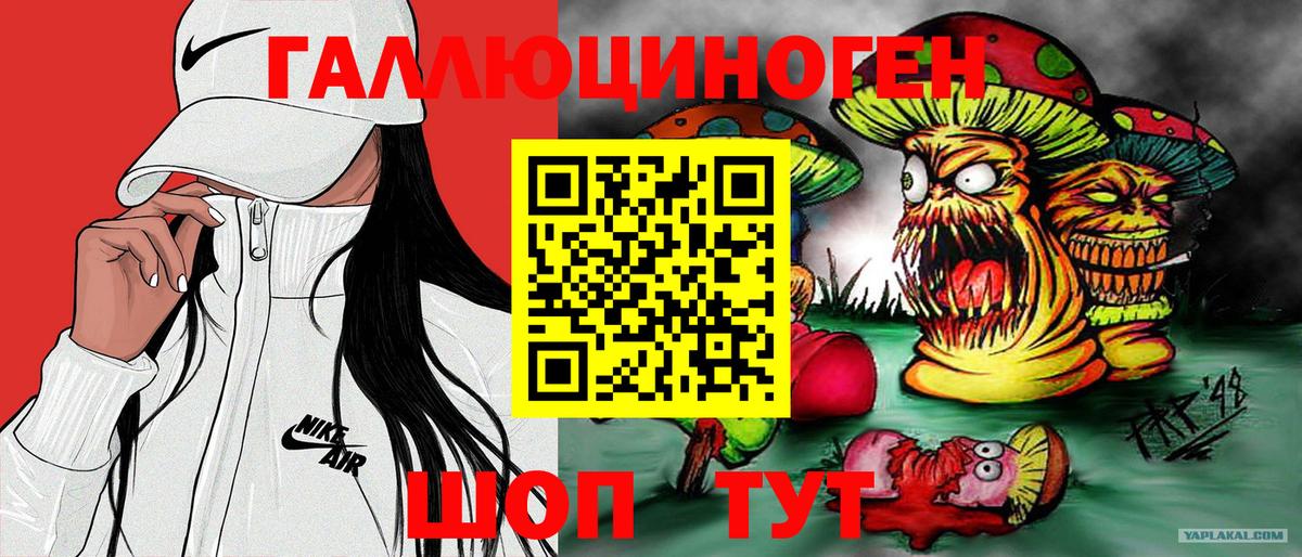 Ростов-на-Дону  Псилоцибиновые грибы MAGIC MUSHROOMS  Вход с VPN 